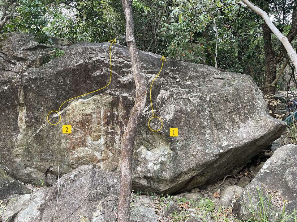 Sunset Forest Boulder - 3.1 Falcon Boulder - Falcon Wing & Prey