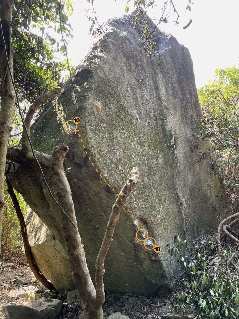 Sunset Forest Boulder - 10.2 Gold Golem Boulder - Green Gold