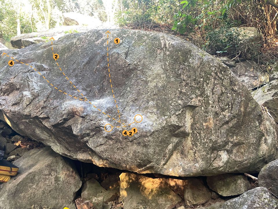 Sunset Forest Boulder - 2.3 The Whale Boulder - Humpback song & Whale fall & Kun 鯤