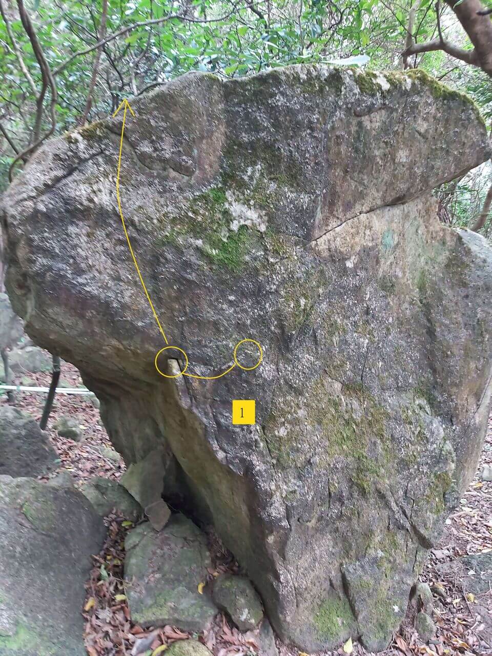 Sunset Forest Boulder - 1.5 Tiny Boulder - Small Step