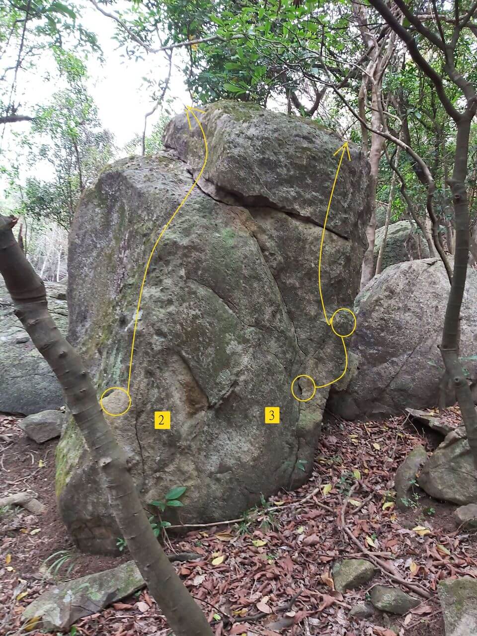 Sunset Forest Boulder - 1.5 Tiny Boulder - Little Man & Cap