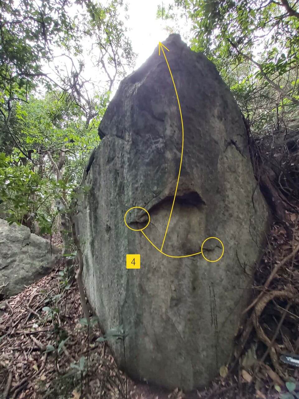 Sunset Forest Boulder - 1.4 Viking Table Boulder - Brave One