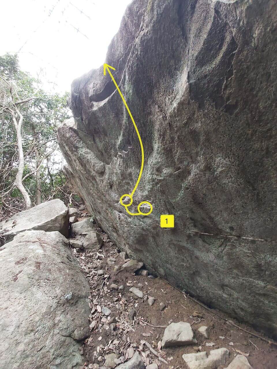 Sunset Forest Boulder - 4.2 Wuji Boulder - Wuji 無極